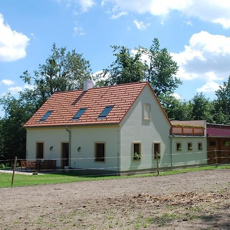 Apartament Penzion Staj Návary Zewnętrze zdjęcie