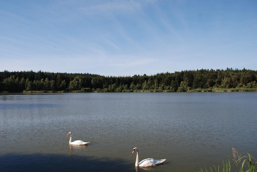 Apartament Penzion Staj Návary Zewnętrze zdjęcie