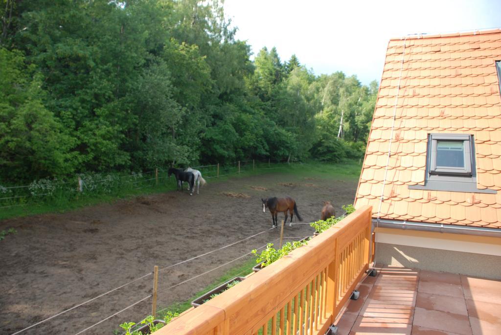 Apartament Penzion Staj Návary Zewnętrze zdjęcie